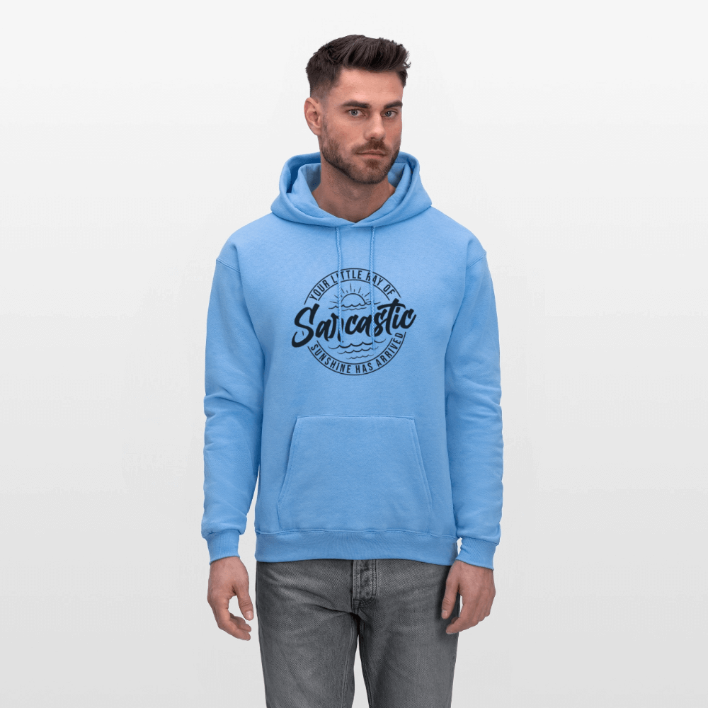 Your Little Ray Of Sarcastic Sunshine Hoodie - carolina blue