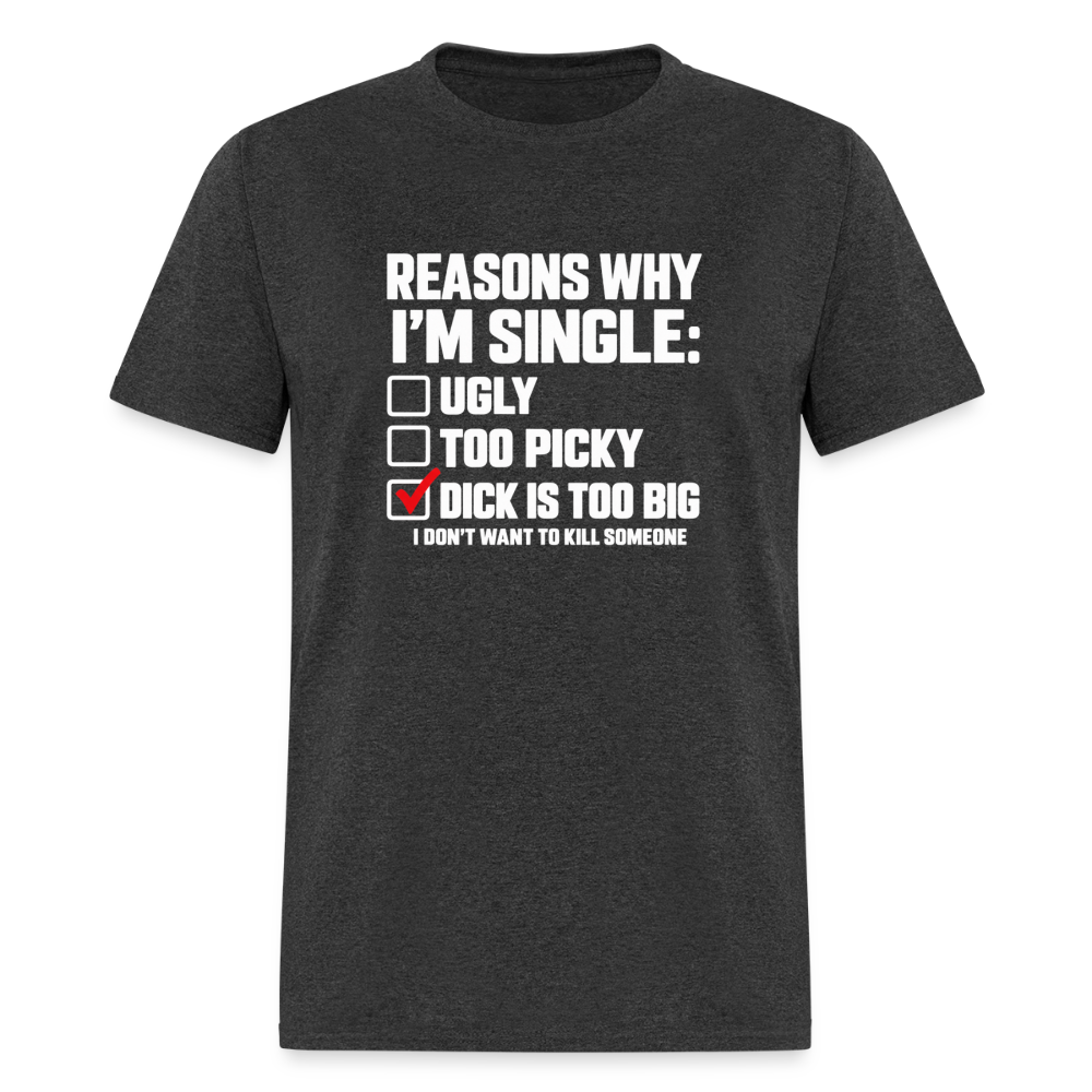 Reasons Why I'm Single Funny Adult Humor T-Shirt – Dirty Joke Graphic Tee Color: Heather Black