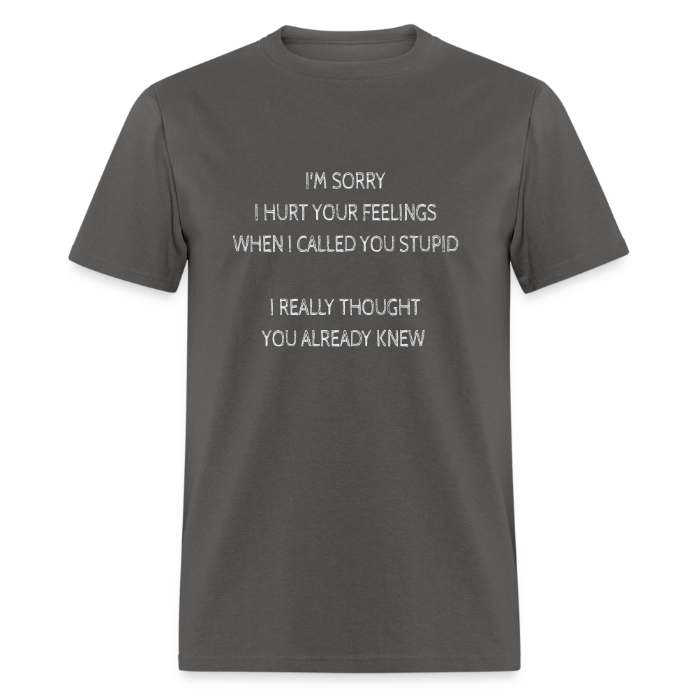 Sorry I Hurt Your Feeling, Stupid T-Shirt - charcoal