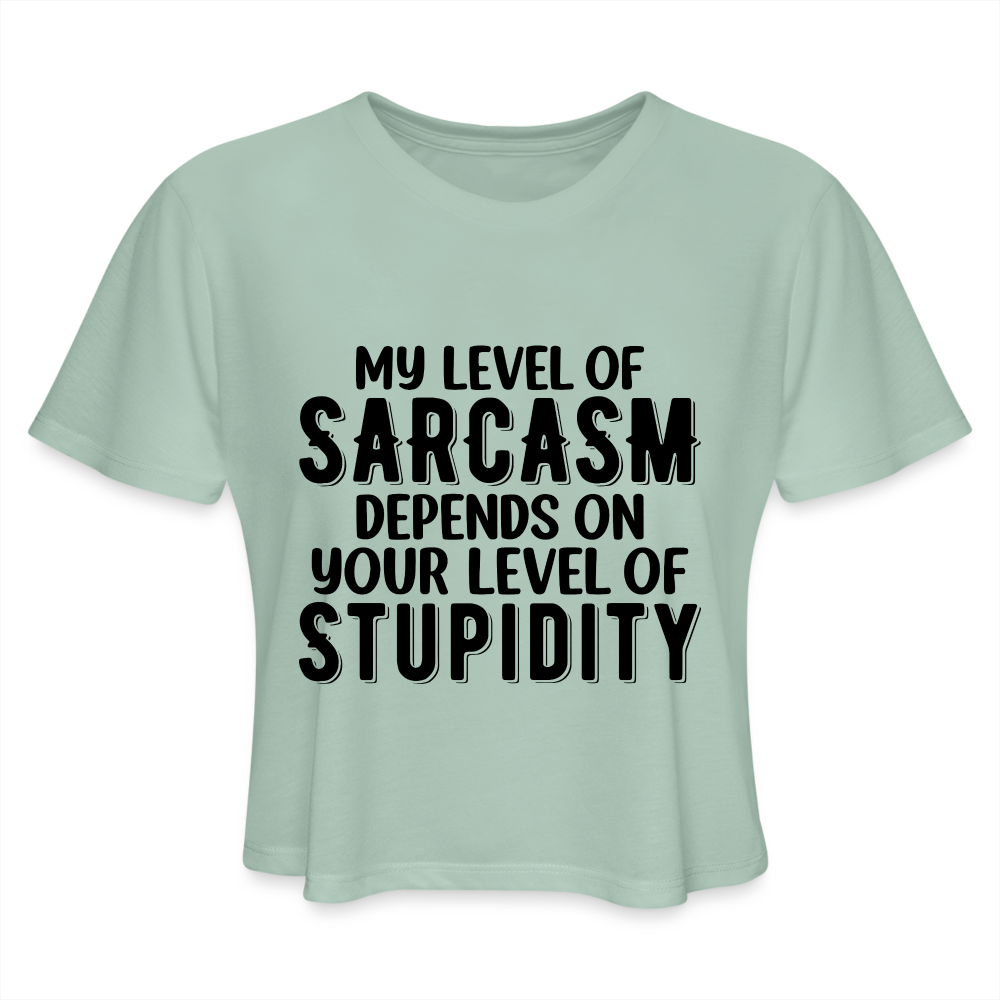 My Level of Sarcasm Depends on You Level of Stupidity Women's Cropped T-Shirt - dusty mint blue