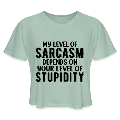 My Level of Sarcasm Depends on You Level of Stupidity Women's Cropped T-Shirt - dusty mint blue