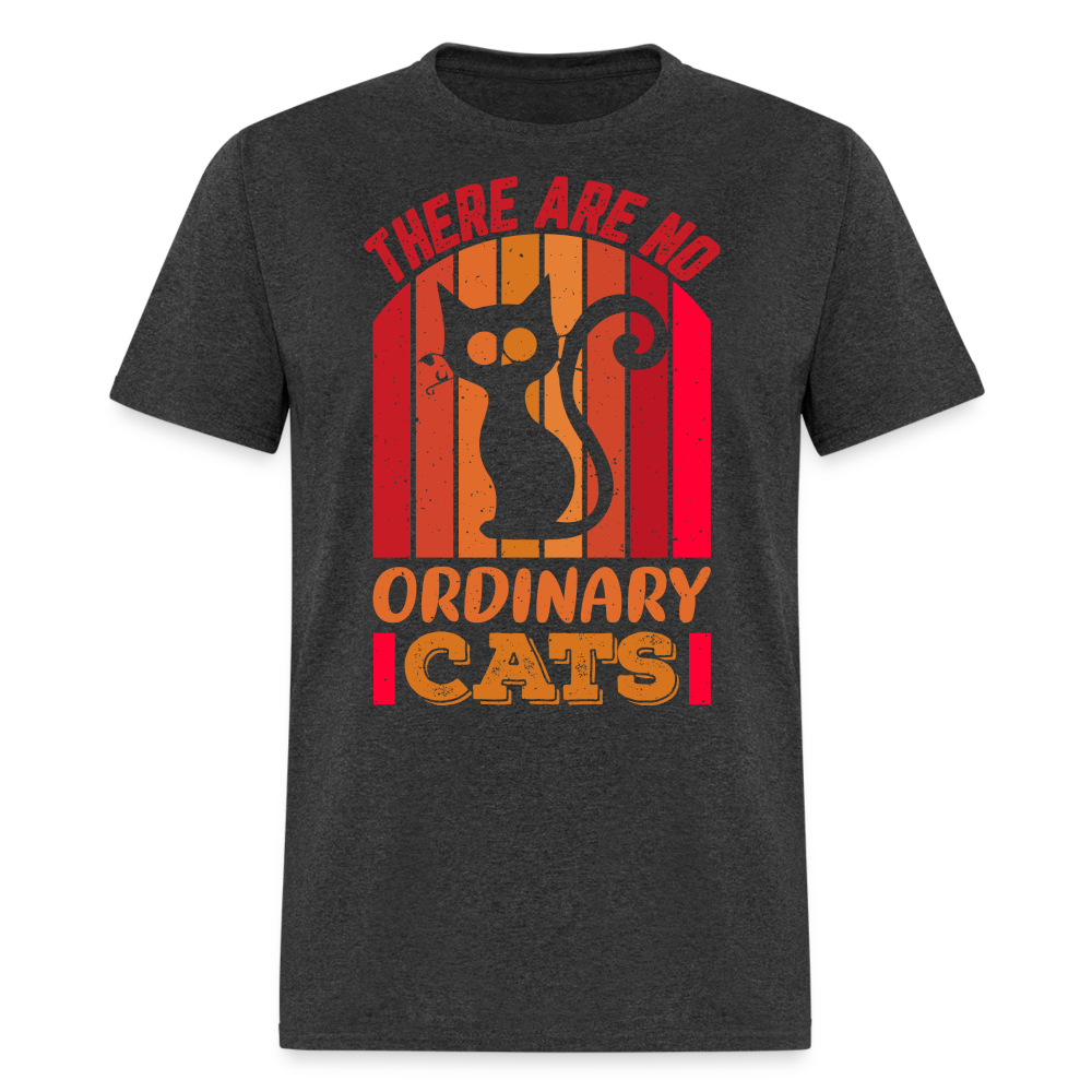 There Are No Ordinary Cats T-Shirt - heather black