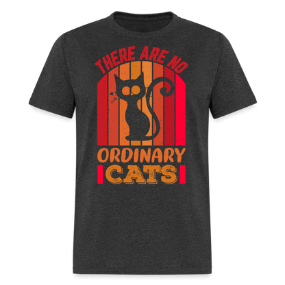 There Are No Ordinary Cats T-Shirt - heather black