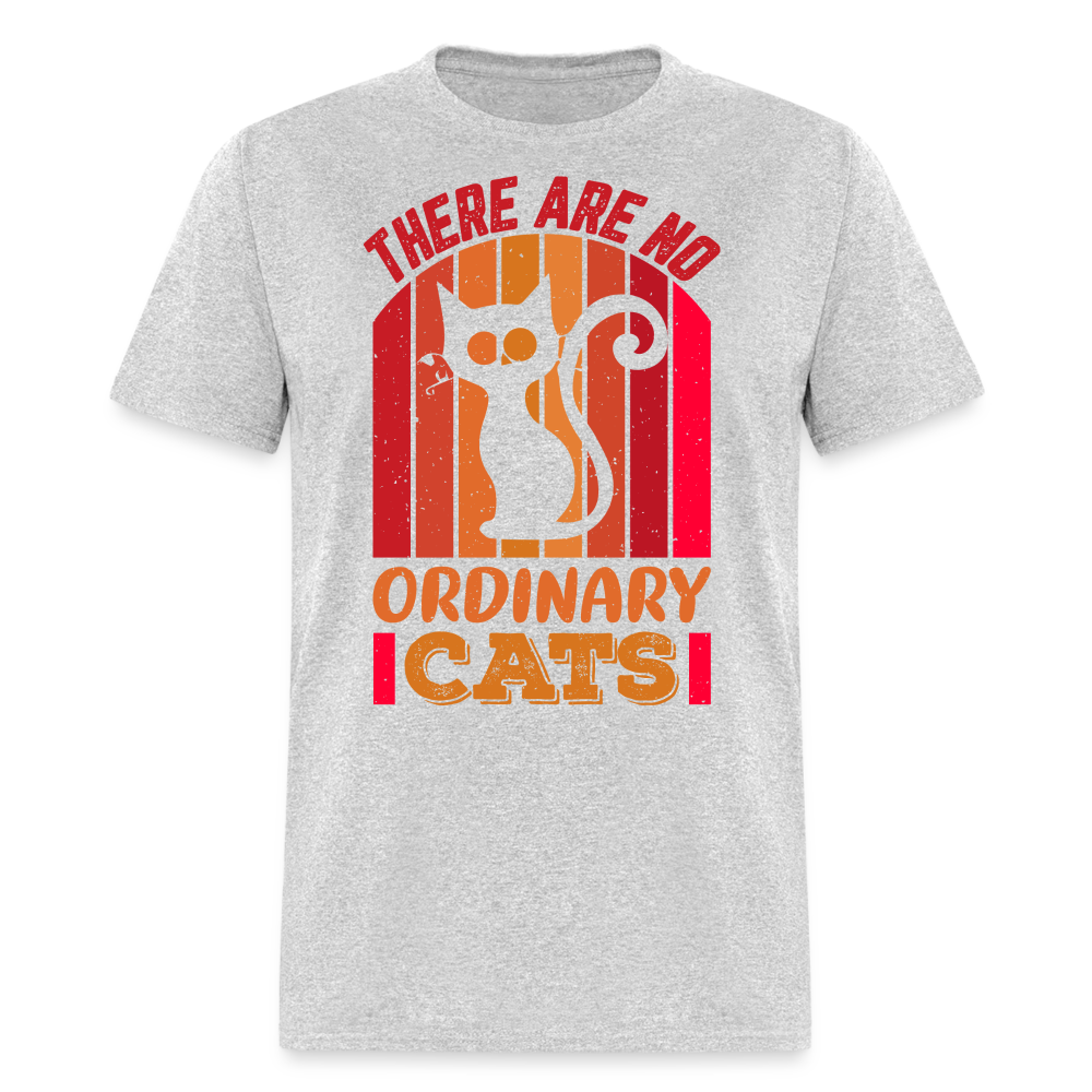 There Are No Ordinary Cats T-Shirt - heather gray
