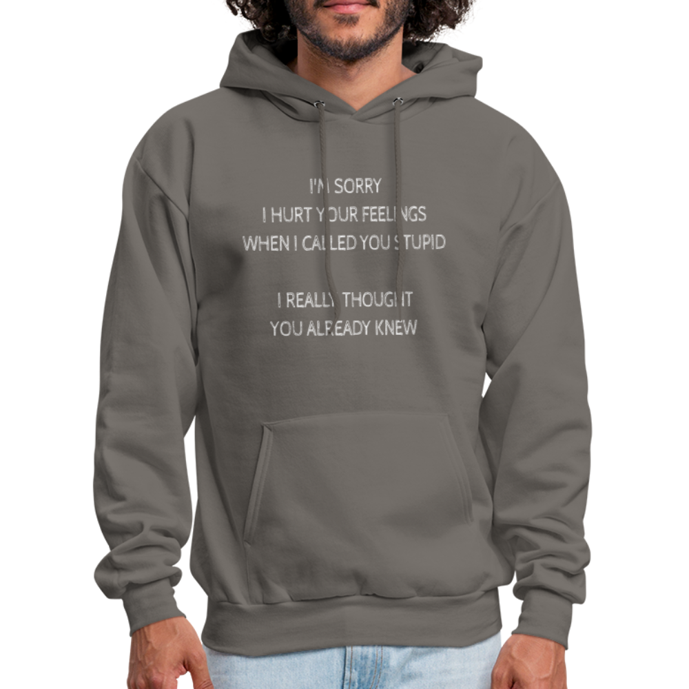 Sorry I Hurt Your Feeling, Stupid Hoodie - asphalt gray