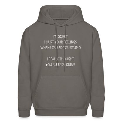 Sorry I Hurt Your Feeling, Stupid Hoodie - asphalt gray